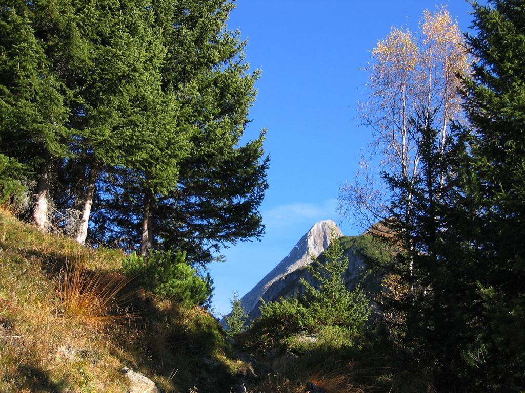 Haus Schlechter Apartman Mayrhofen Kültér fotó